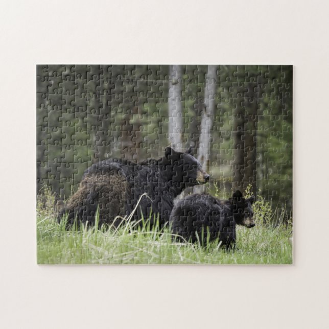Puzzle Yellowstone Black Bear (Horizontal)