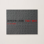 Dhruvin lives   Puzzles