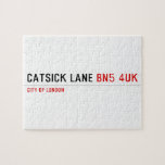 Catsick Lane  Puzzles