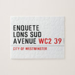enquete  lons sud  avenue  Puzzles