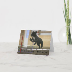 PWD agility jump birthday card