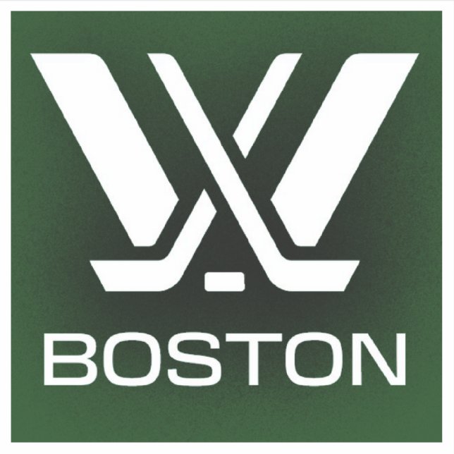 PWHL Boston Hockey Logo Sticker (Front)