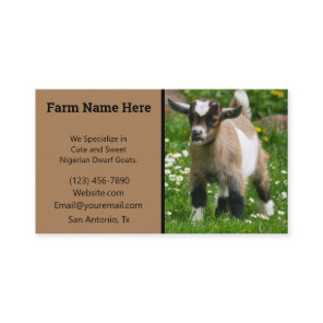 Pygmy Dwarf Goat Breeder Business Card