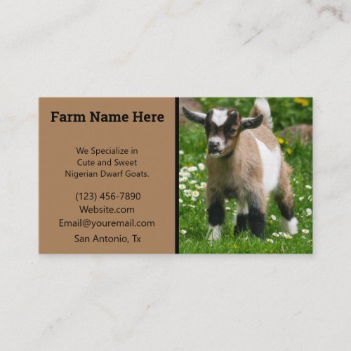 Pygmy Dwarf Goat Breeder Business Card