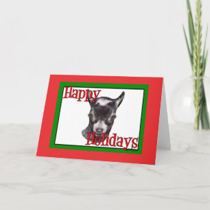 Pygmy Goat Holiday Christmas