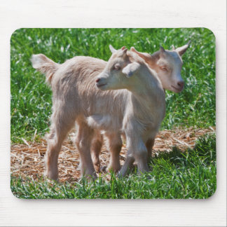 Pygmy Goat Kids Mousemat Mouse Pad
