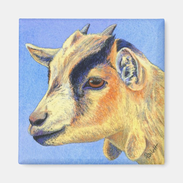 Pygmy Goat Magnet - "Sunny Goat" (Front)