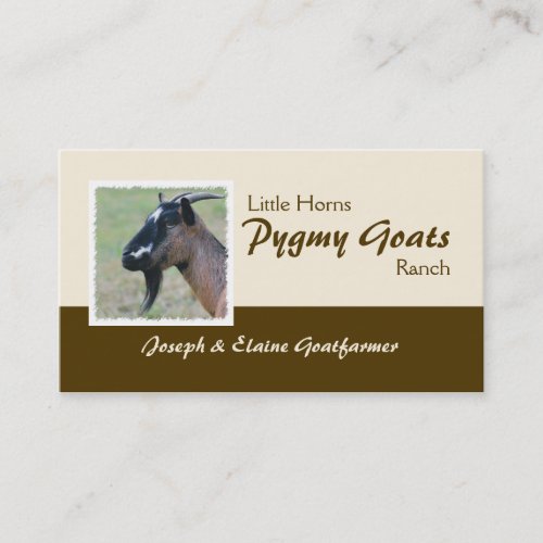 Pygmy goats business card
