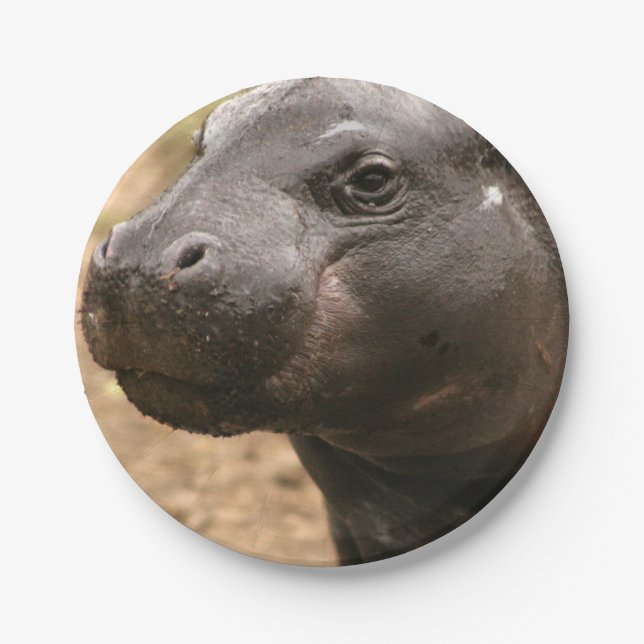 pygmy-hippo-1 paper plates (Front)