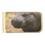 Pygmy Hippo Gold Finish Money Clip