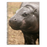 Pygmy Hippo Notebook