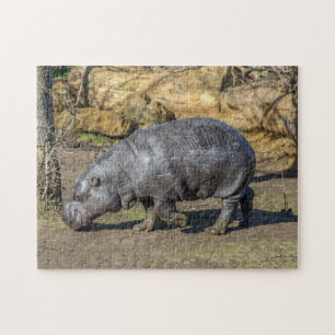 Pygmy hippo puzzle