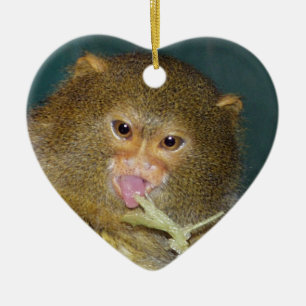 Pygmy Marmoset Christmas Ornament