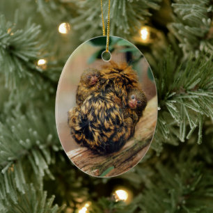 Pygmy Marmoset with Twins Ceramic Ornament