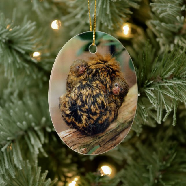 Pygmy Marmoset with Twins Ceramic Ornament (Tree)