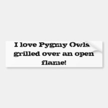 Pygmy owl bumper sticker