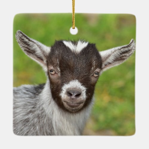 Pygmy Pet Goat Kid Ceramic Ornament