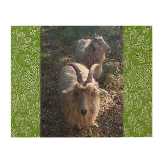 Pygora wood wall decor (Front)