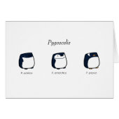 Pygoscelis Card (Front Horizontal)