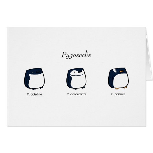 Pygoscelis Card (Front Horizontal)