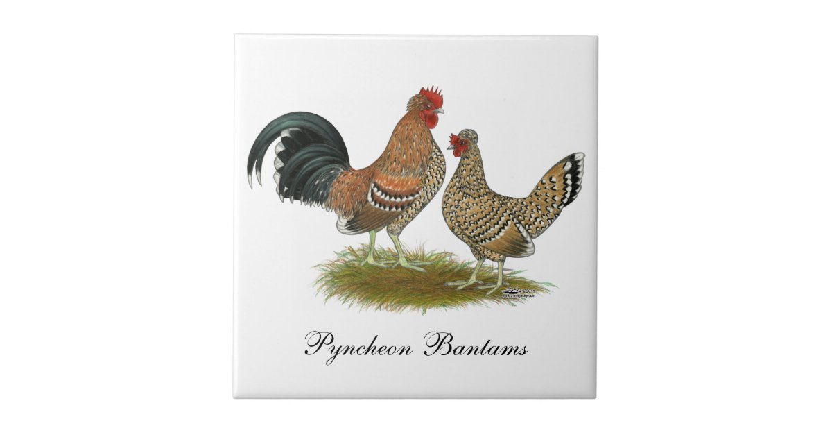 Pyncheon Bantams Ceramic Tile | Zazzle