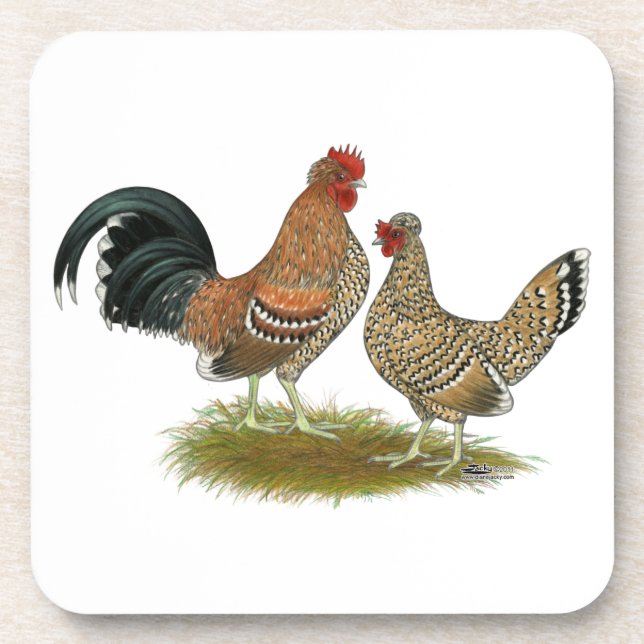 Pyncheon Bantams Drink Coaster (Front)