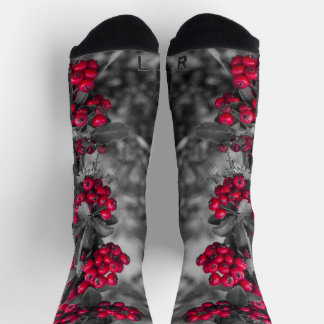 Pyracantha Berry Red and Gray Socks
