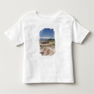 Pyramid of the Feathered Serpent Toddler T-shirt