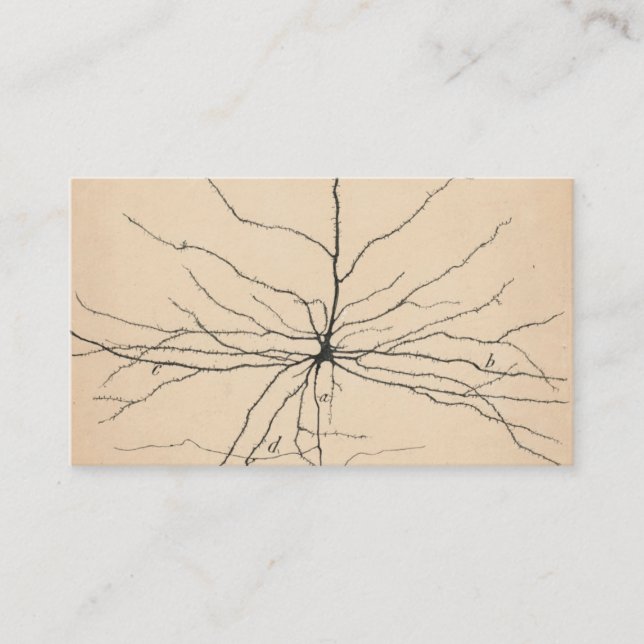 Pyramida Neuron Drawing By Santiago Ramón Y Cajal Business Card (Front)
