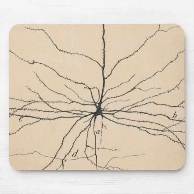 Pyramida Neuron Drawing By Santiago Ramón Y Cajal Mouse Pad (Front)