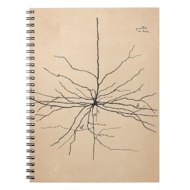 Pyramida Neuron Drawing Santiago Ramon y Cajal Notebook (Front)
