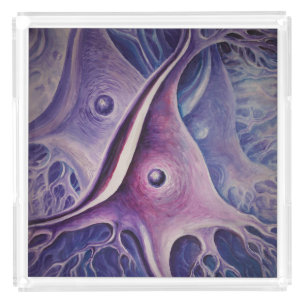 Pyramidal neuron acrylic tray