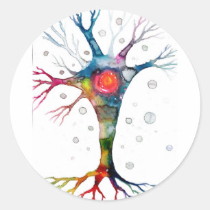 Pyramidal neuron in the neocortex classic round sticker