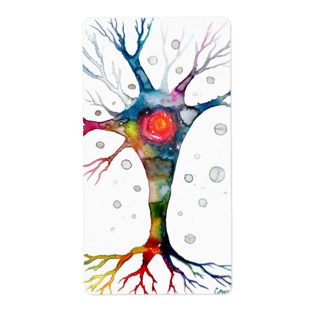 Pyramidal neuron in the neocortex label (Front)