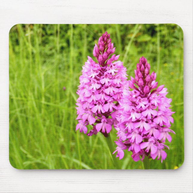 Pyramidal Orchid Mouse Mat (Front)