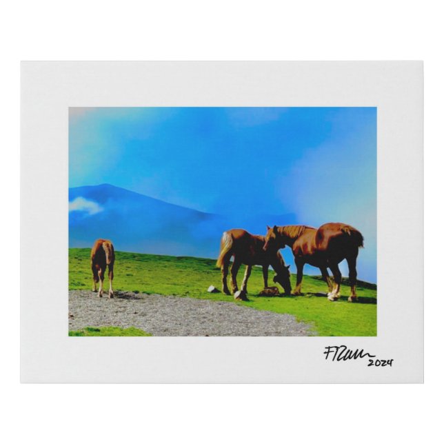 Pyrenean Horses Faux Canvas Print (Front)