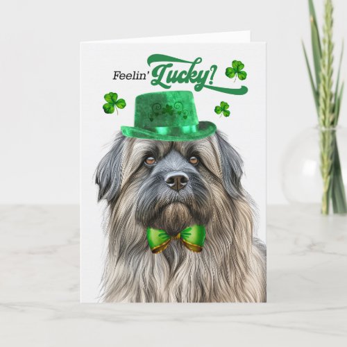 Pyrenean Shepherd Lucky St Patricks Day Holiday Card