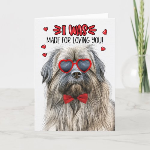 Pyrenean Shepherd Made for Loving You Valentine Holiday Card