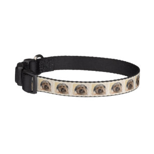 Pyrenean Shepherd Painting - Cute Original Dog Art Pet Collar