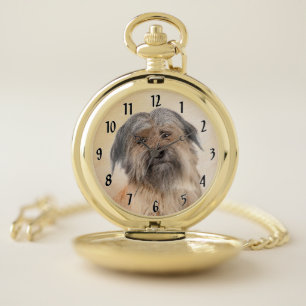 Pyrenean Shepherd Painting - Cute Original Dog Art Pocket Watch