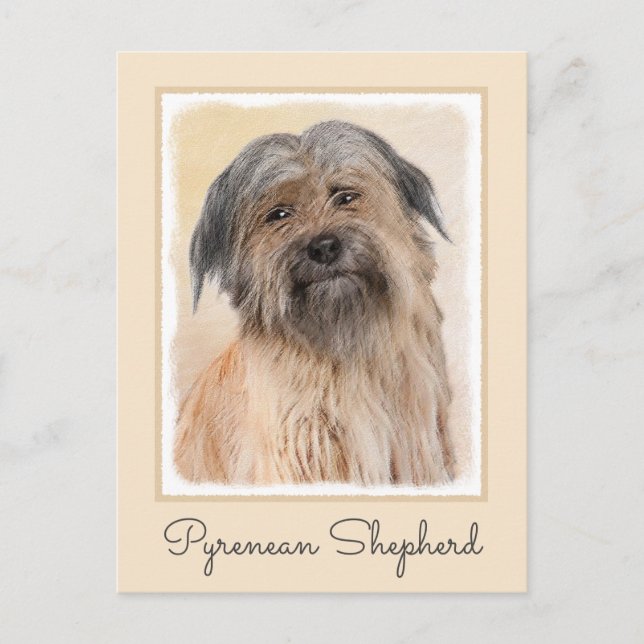 Pyrenean Shepherd Painting - Cute Original Dog Art Postcard (Front)