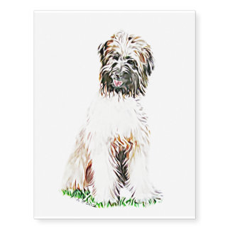 Pyrenean Shepherd Temporary Tattoos
