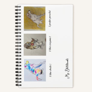 Pyrenees, Bassett Hound Rainbow Dog  Sketchbook Notebook