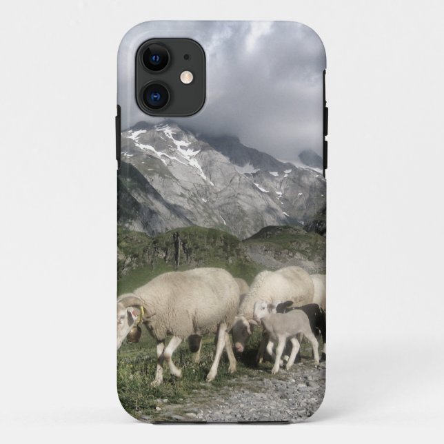 pyrenees landscape Case-Mate iPhone case (Back)