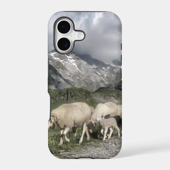 pyrenees landscape iphone case (Back)