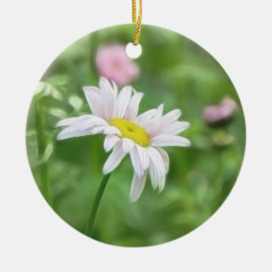 Pyrethrum Daisies - Tanacetum coccineum Ceramic Ornament