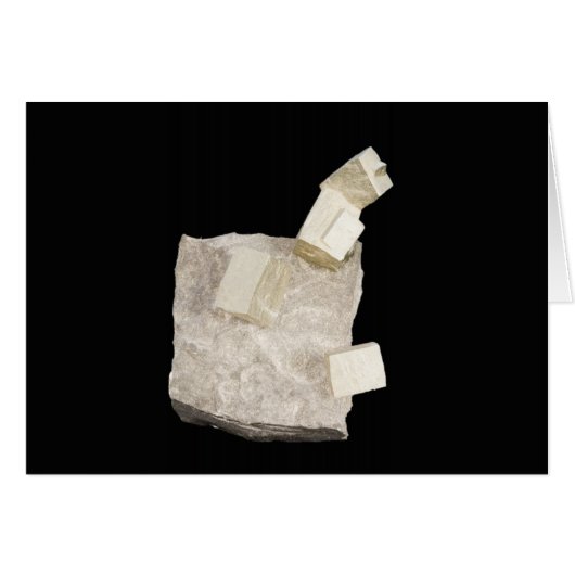 Pyrite Crystals in Shale Cards (Front Horizontal)