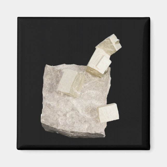 Pyrite Crystals in Shale Magnet (Front)