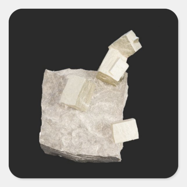 Pyrite Crystals in Shale Square Sticker (Front)