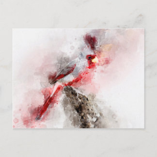 Pyrrhuloxia watercolor holiday postcard